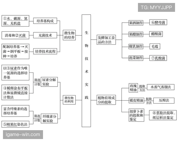 篮球跳球规则全解析:理解比赛启动与球权判定的核心要点 篮球跳球规则全解析:理解比赛启动与球权判定的核心要点